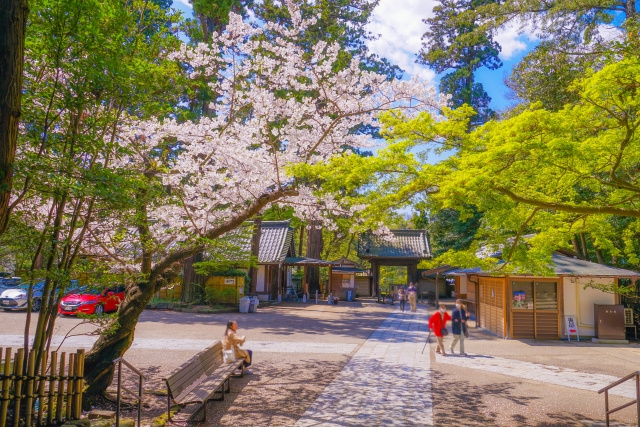 鎌倉市の円覚寺とは？お寺の概要と魅力あふれる見どころをご紹介...の画像