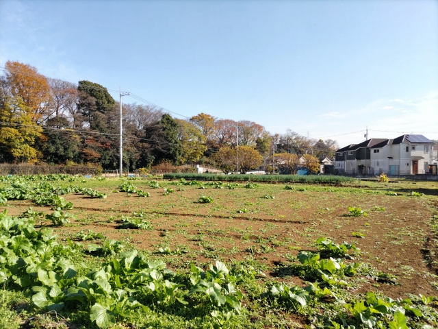 生産緑地を売却する方法とは？指定解除の要件や方法・注意点も解...の画像
