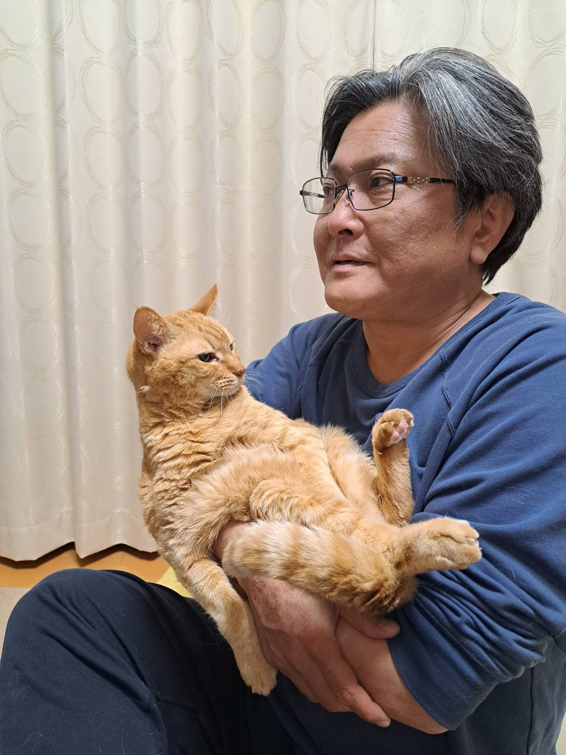今日のねこの画像