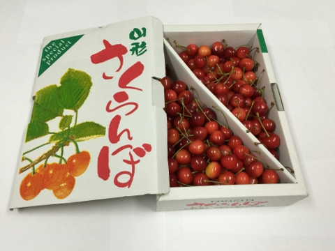 さくらんぼの画像
