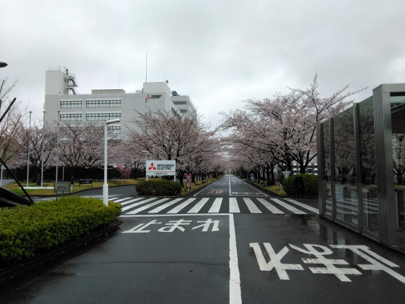 「三菱電機春まつり（桜まつり）2023｜今年はどうでしょう？...の画像