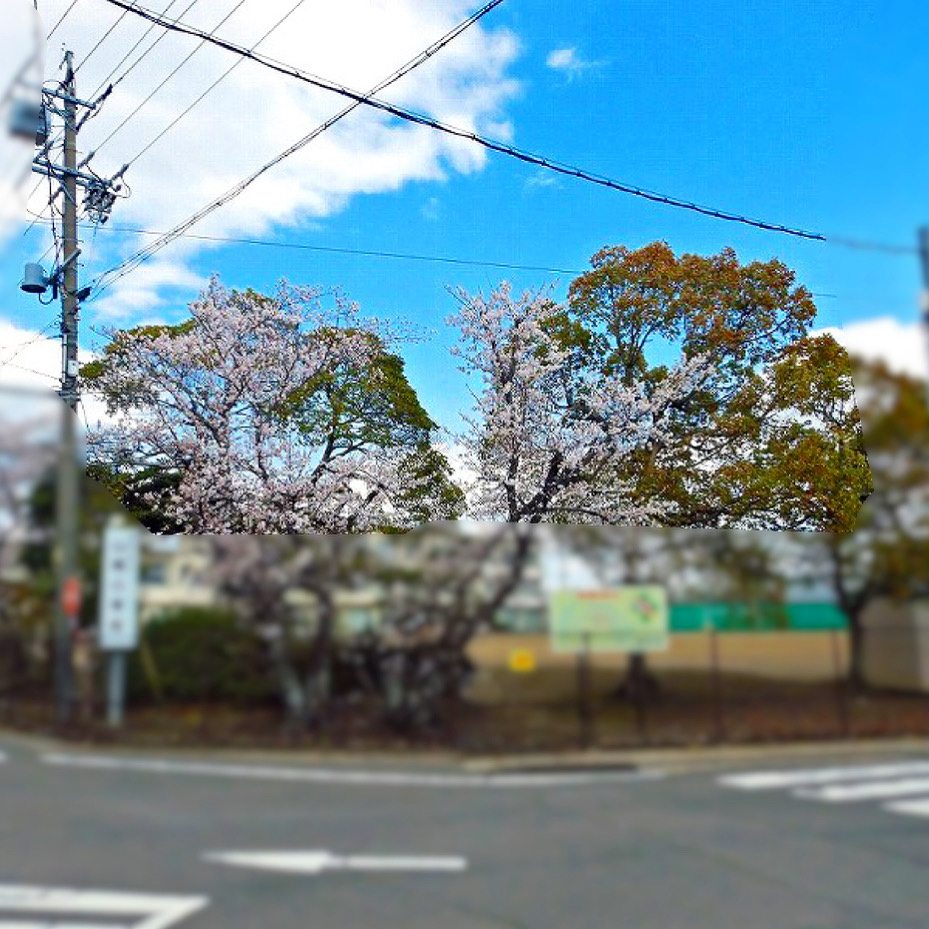 【稲沢市不動産売却】本日は稲沢市祖父江町山崎にて不動産の売却...の画像