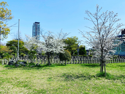 真田山旧陸軍墓地へ参拝の画像