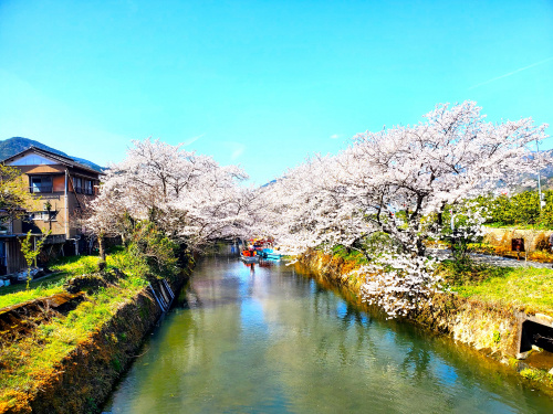 徳島県勝浦郡勝浦町の画像