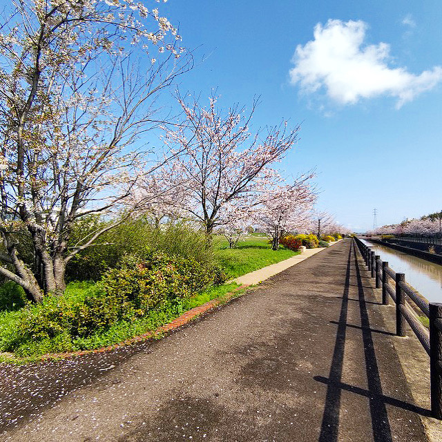 【稲沢市不動産売却】本日は稲沢市平和町下三宅にて不動産の売却...の画像
