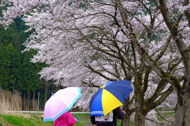 春雨じゃ濡れていこうの画像
