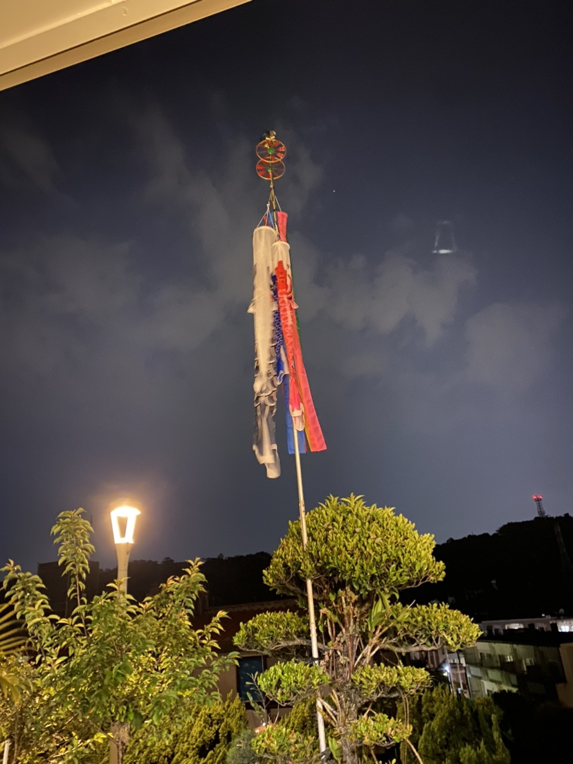 鯉のぼりの画像