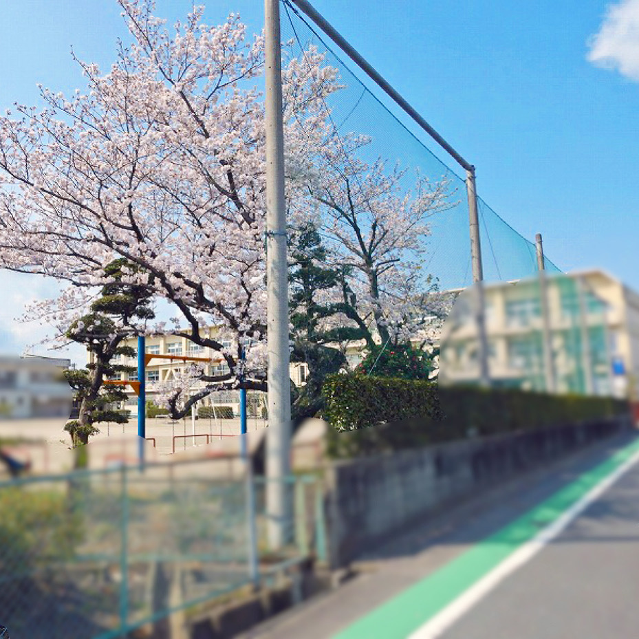 【稲沢市不動産売却】本日は稲沢市片原一色にて不動産の売却のご...の画像