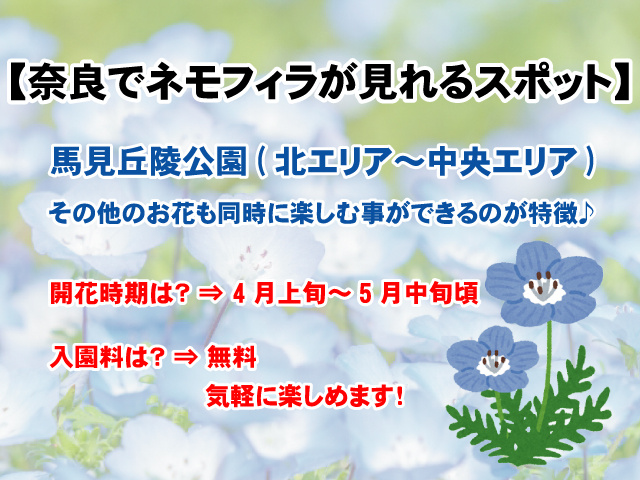 【奈良でネモフィラが見られるスポット】開花時期やアクセス方法まとめの画像
