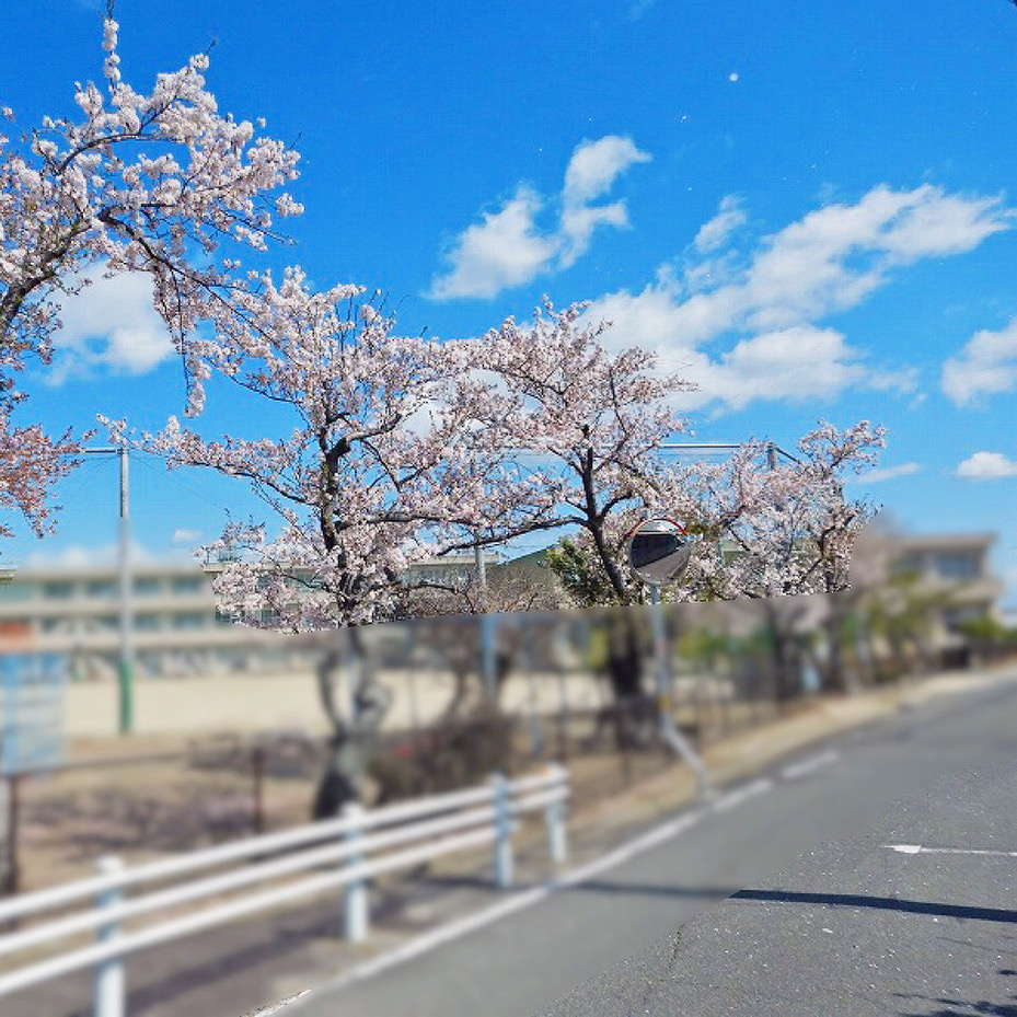 【稲沢市不動産売却】本日は稲沢市祖父江町大牧にて不動産の売却...の画像