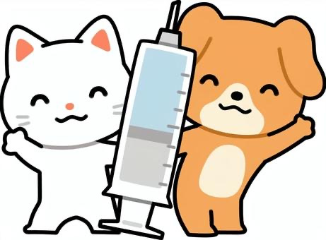 「注射」の画像