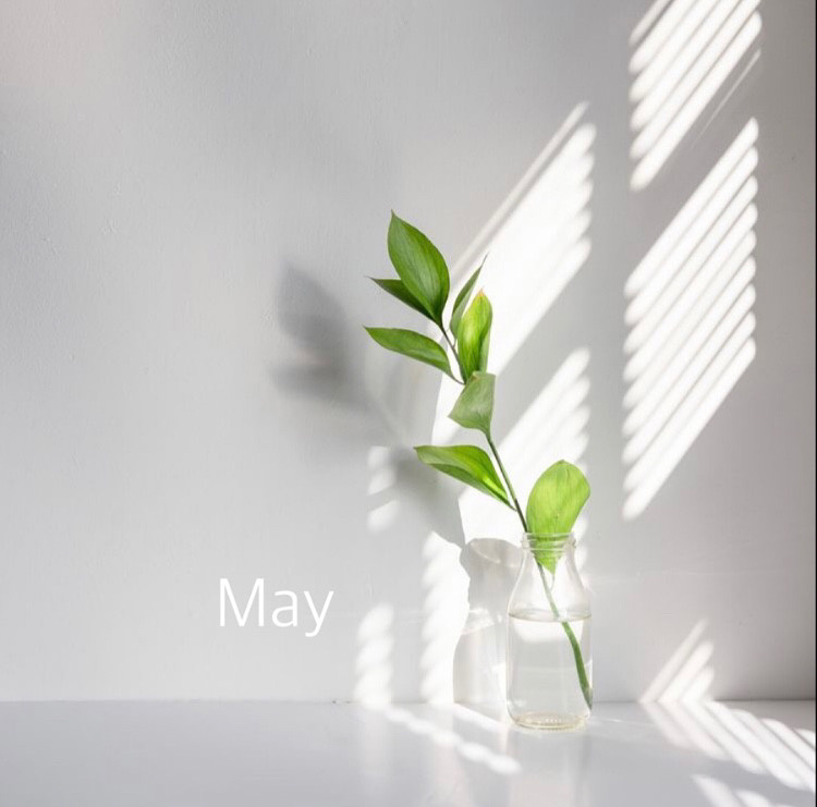 【新緑の5月】の画像