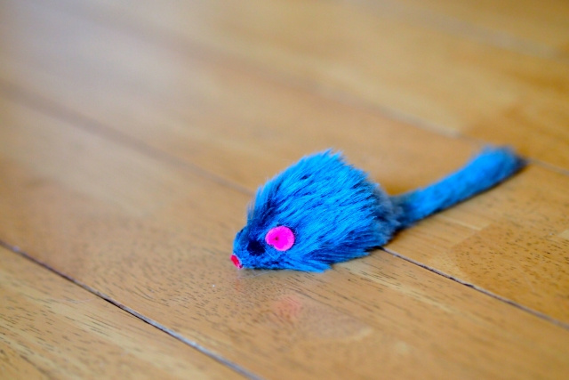 【2025年版】賃貸物件でのネズミ駆除方法は？費用負担や引っ...の画像