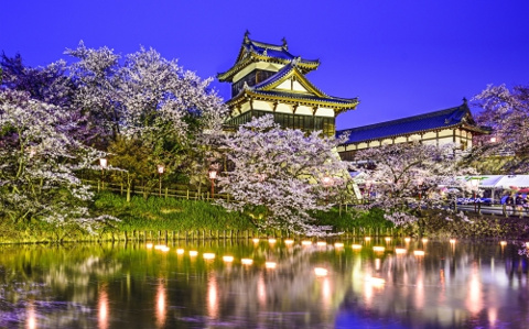 奈良県イベント情報♪【『桜・見頃』郡山城跡】の画像
