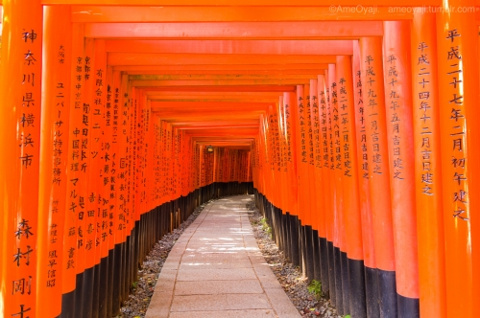 朱の願い道の画像