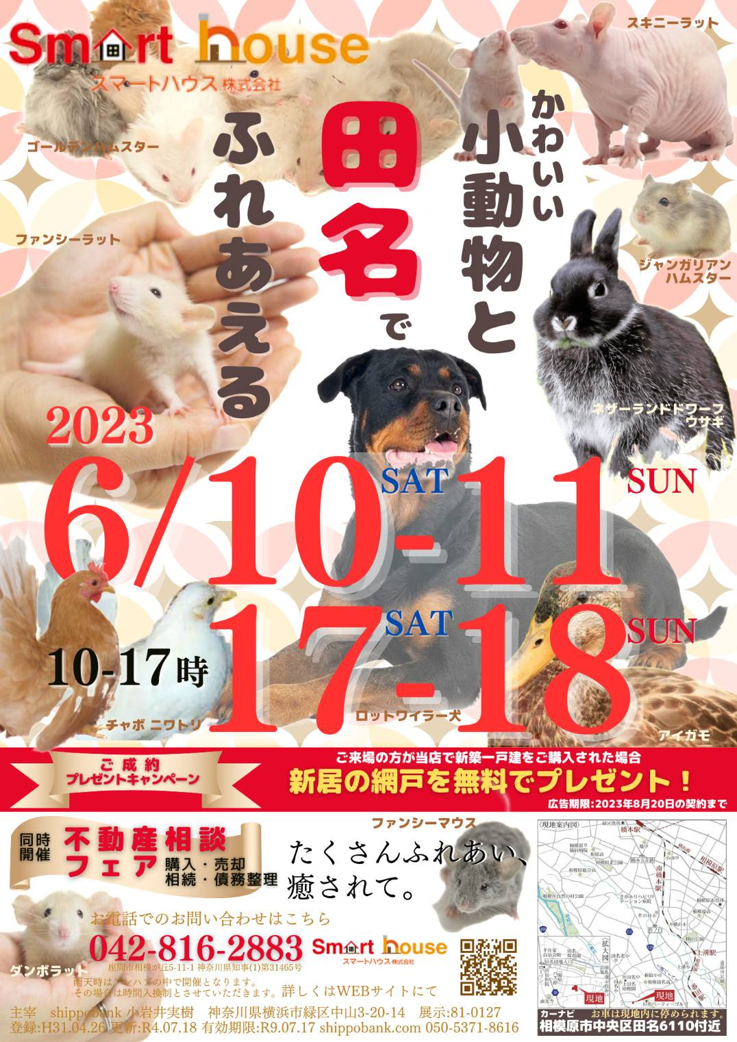 小動物ふれあいイベント開催！同時開催「不動産相談フェア」　新...の画像