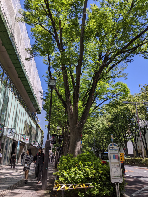通勤・通学の画像