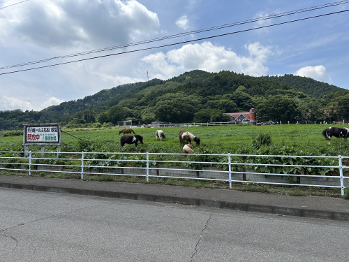 牛とホットドックと時々自然の画像