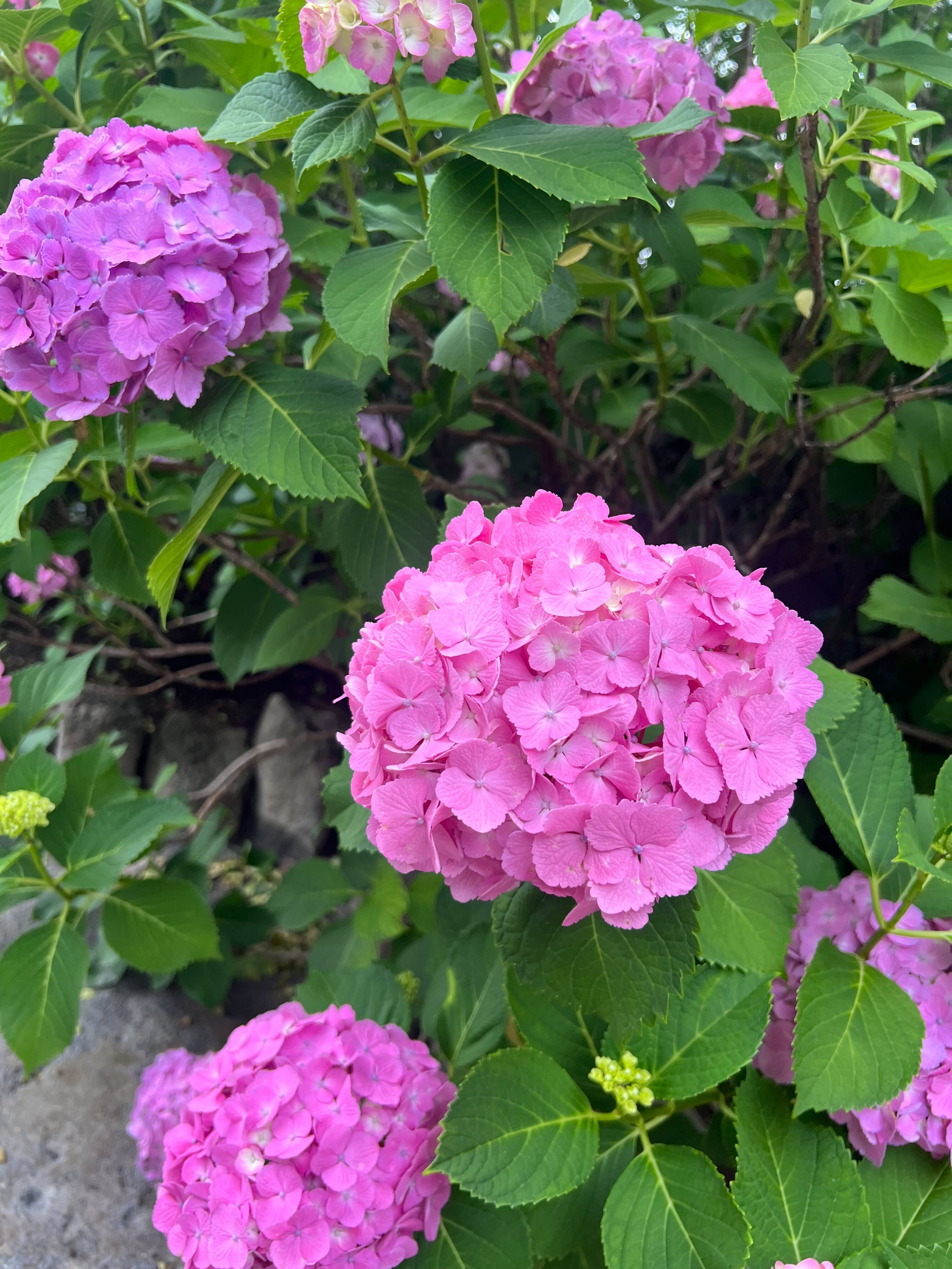 な～つは貴方と落ち合～って～の画像