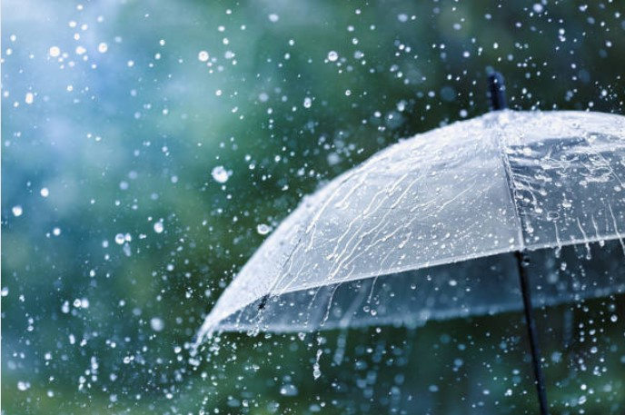 梅雨の季節の画像