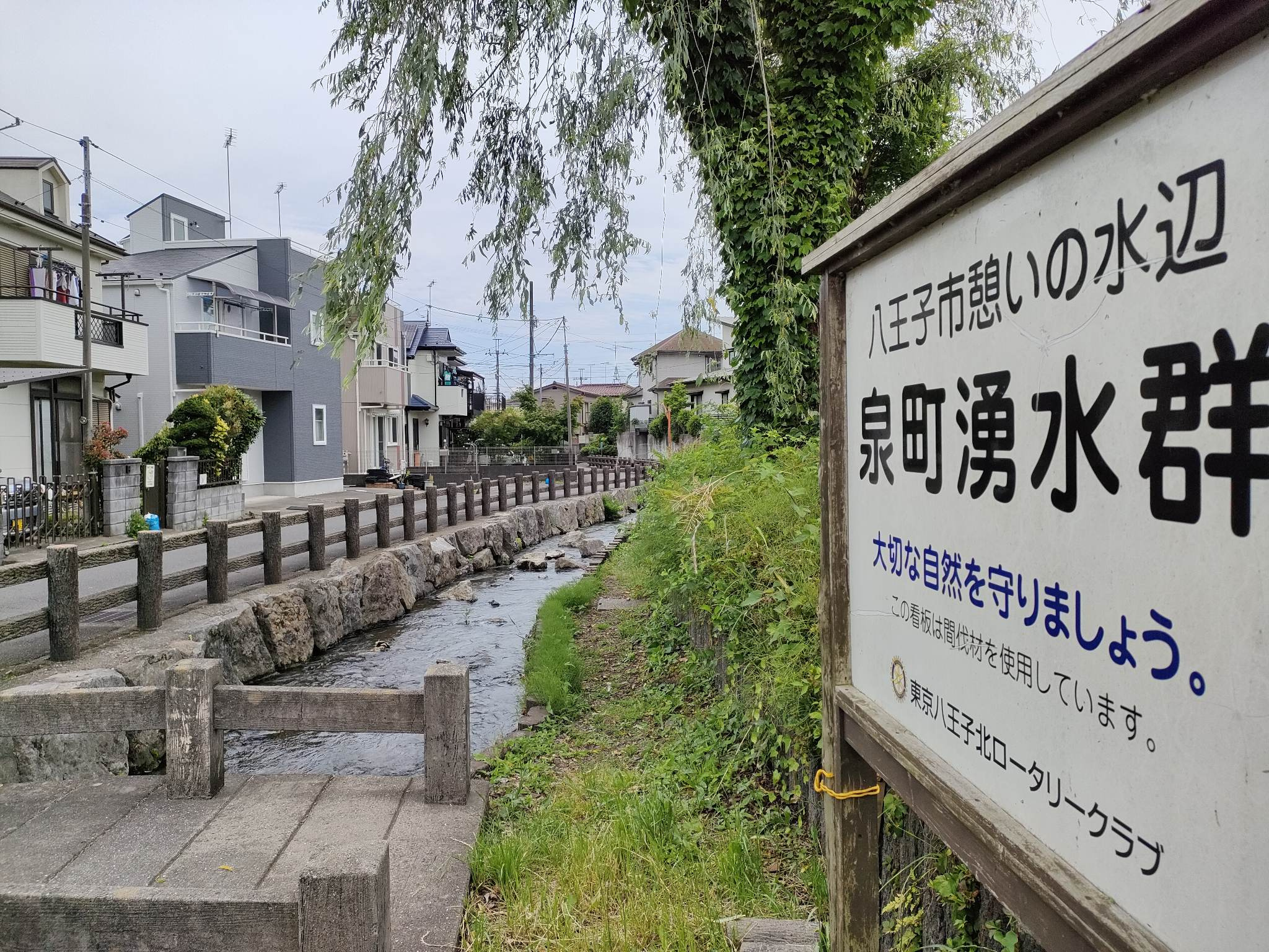 「八王子市泉町――その魅力は「湧き水の流れが美しい水の郷」」の画像