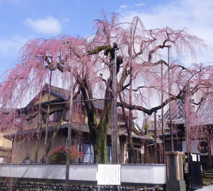「八王子市狭間町――その魅力は「谷沿いに開かれた歴史ある聚落」」の画像