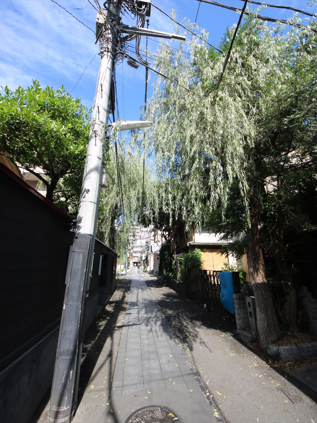 中町「黒塀と柳」