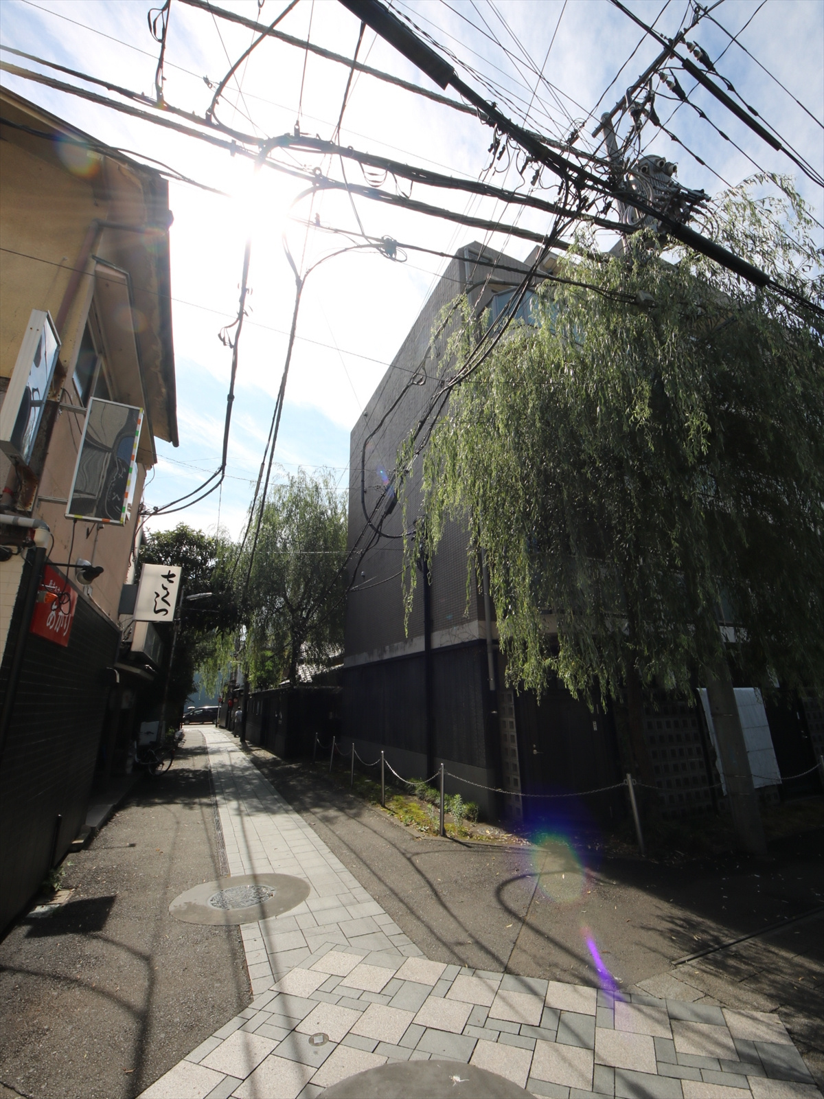 中町「黒塀と柳」