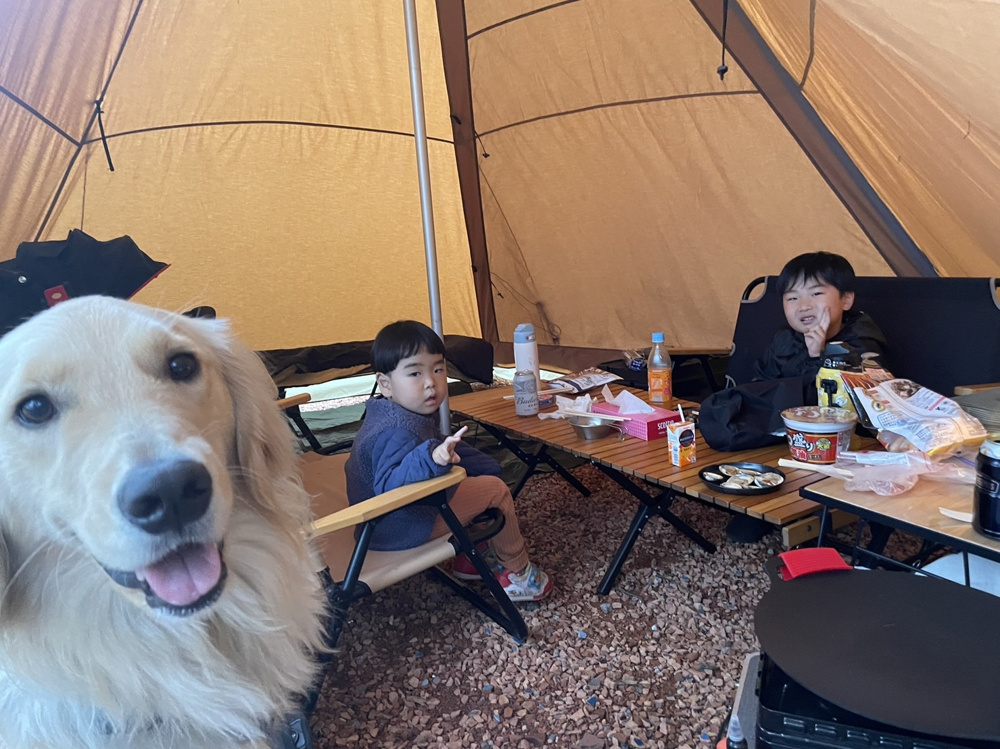 「【CAMP】部長桑山」の画像