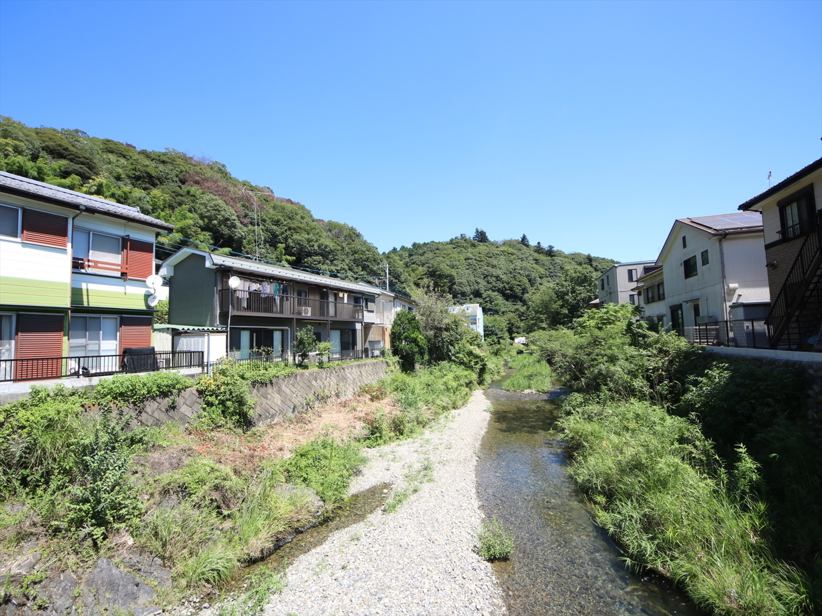 「南浅川」白山橋から