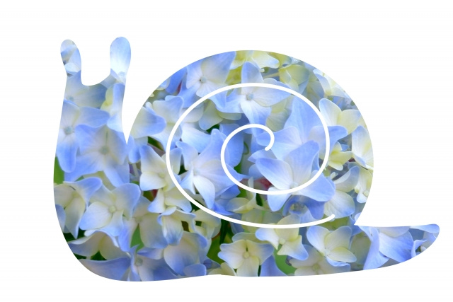 夏至の画像