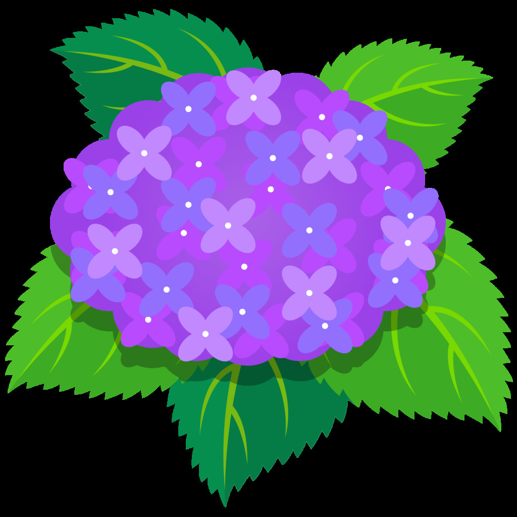 紫陽花の画像