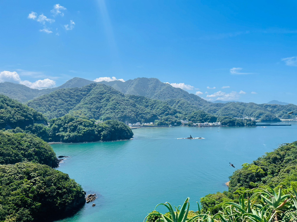 「【アクアビレッジ　前編】部長桑山」の画像