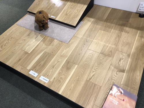 大切な家族の一員であるワンコ、これから家を建てるのなら犬用の...の画像