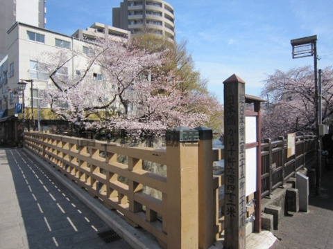 石神井川の桜が満開♪の画像