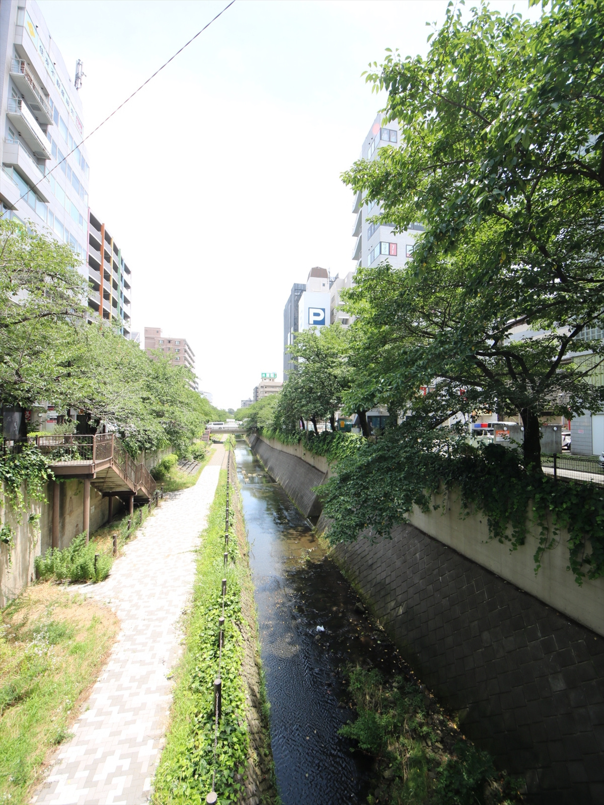 「乞田川」山王橋から