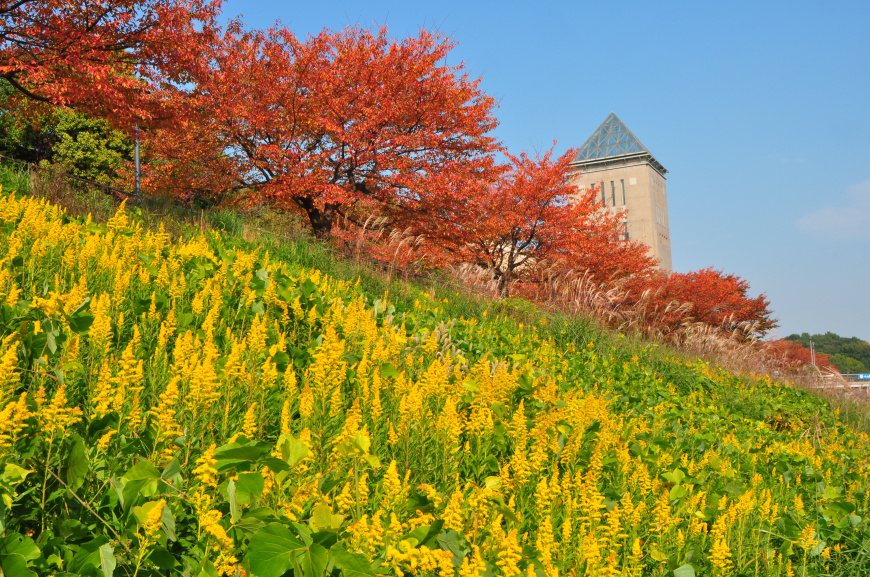 「八王子市南大沢――平成の大開発。八王子南部の中心地」の画像