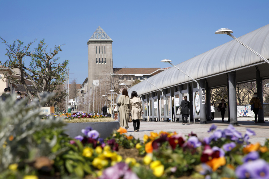 「南大沢遊歩道と東京都立大学」