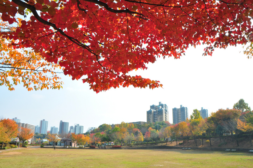 「上柚木公園」