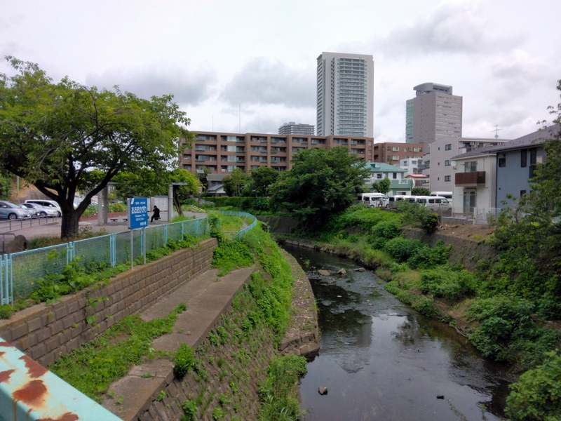 「7月7日は川の日」　【ホームメイト大船駅前店　ジェイワンの...の画像