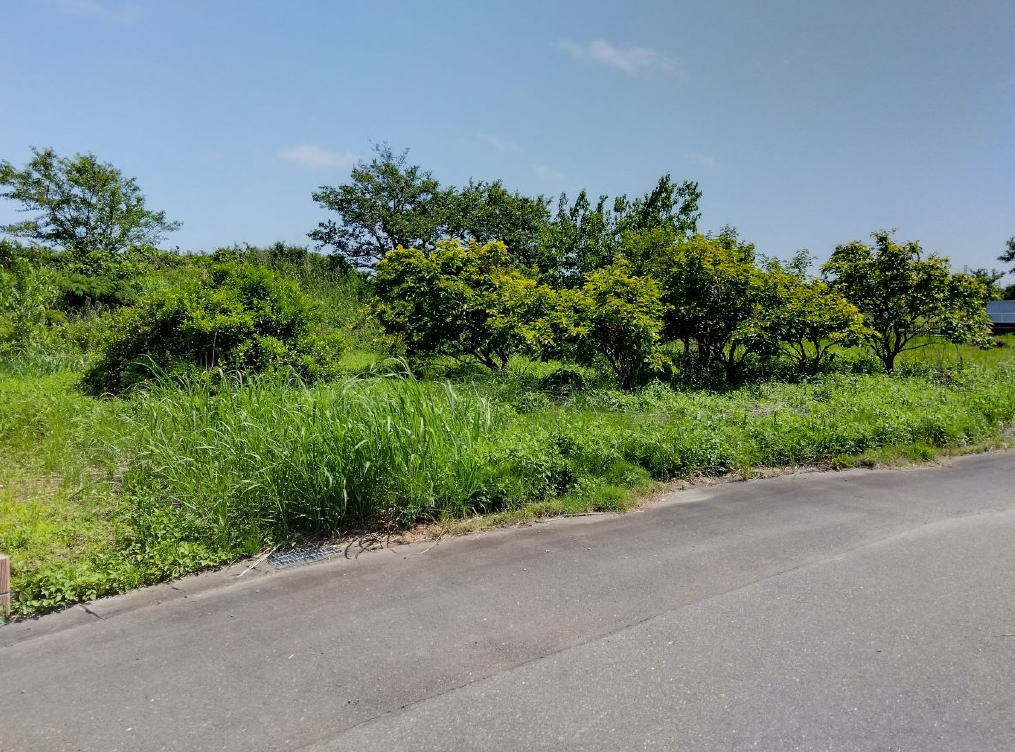 【売土地】袋井市松袋井の画像
