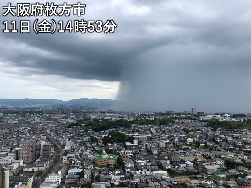 ゲリラ豪雨の画像