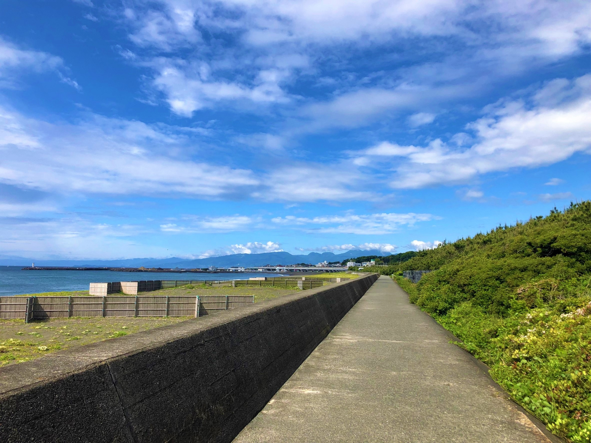 ★最近の日課★の画像
