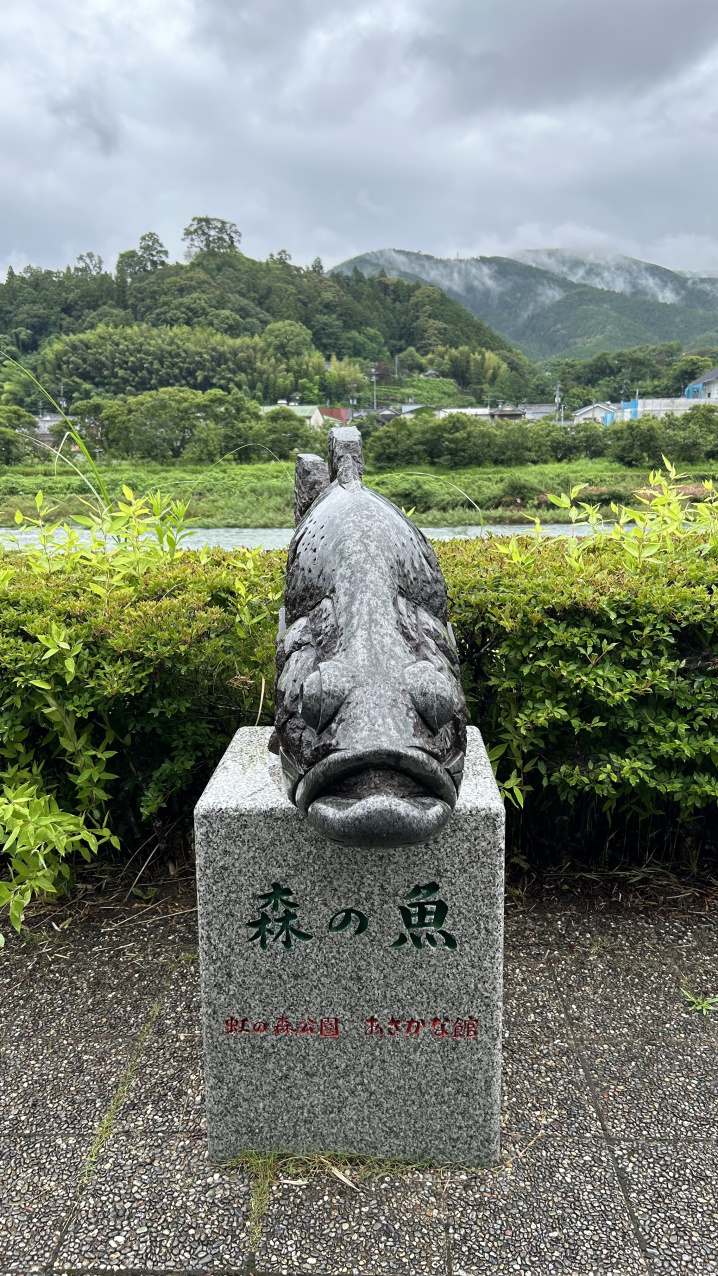 虹の森公園　おさかな館へ　～北宇和郡松野町～の画像