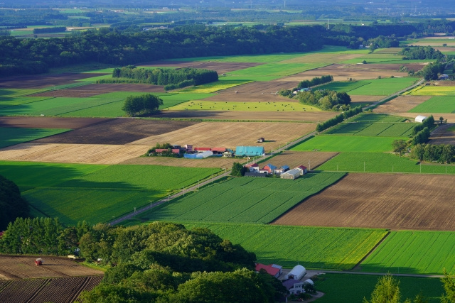 市街化調整区域とはどんな土地？購入する際の注意点もご紹介の画像
