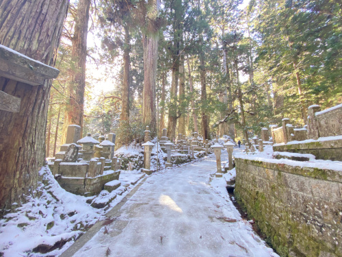 納涼の画像