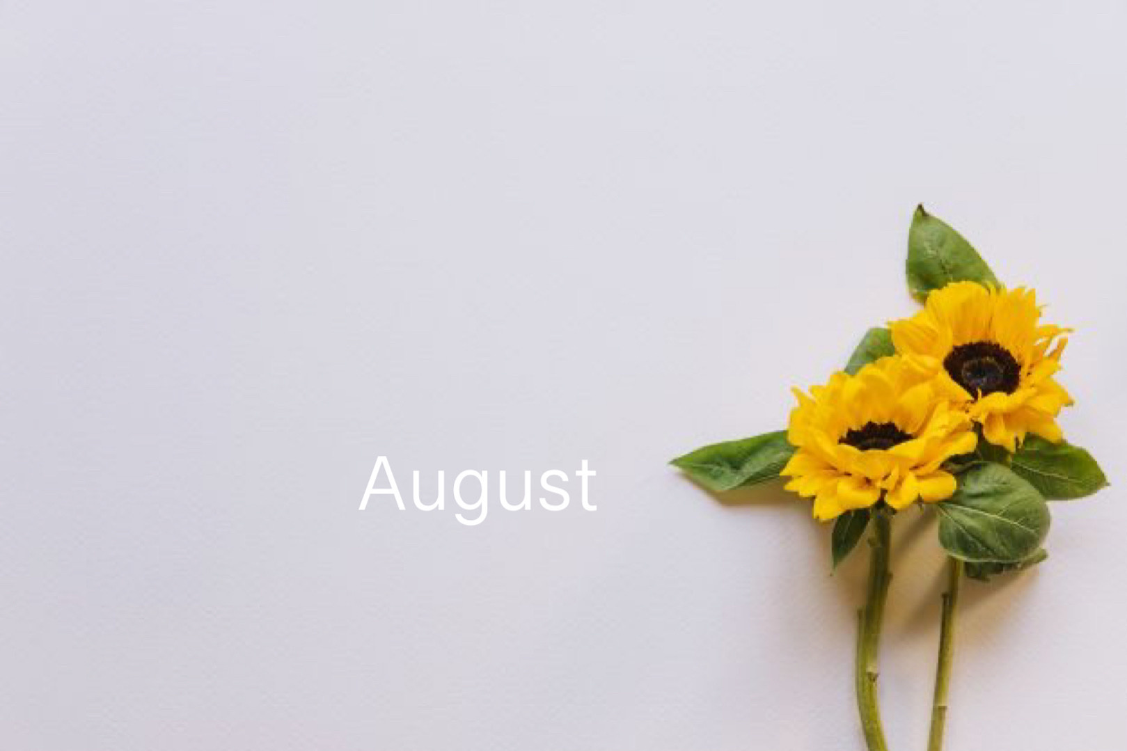 8月の画像