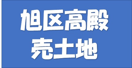 本日の新着情報!!の画像