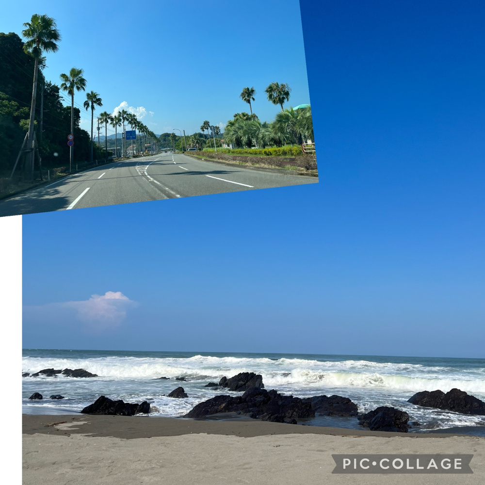 「チキン南蛮」の画像