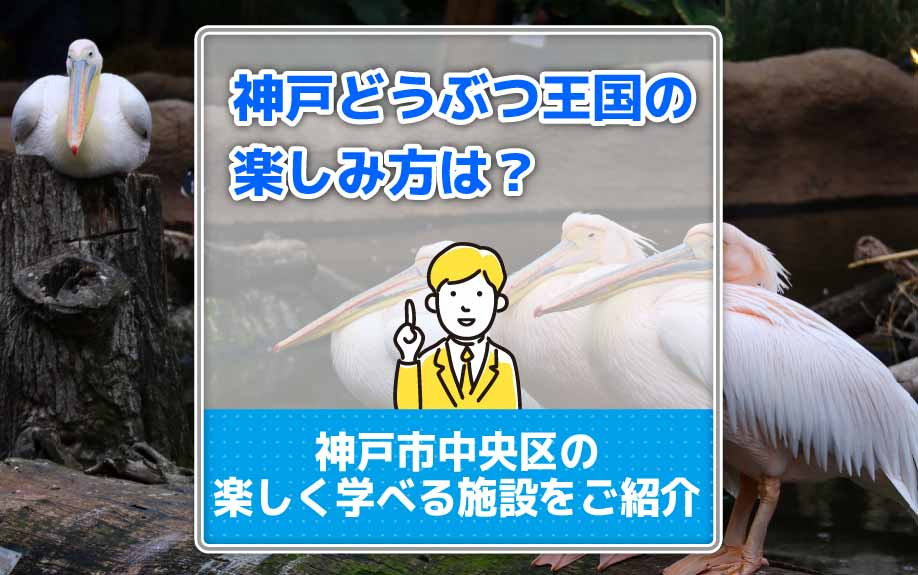 神戸どうぶつ王国の楽しみ方は？神戸市中央区の楽しく学べる施設...の画像